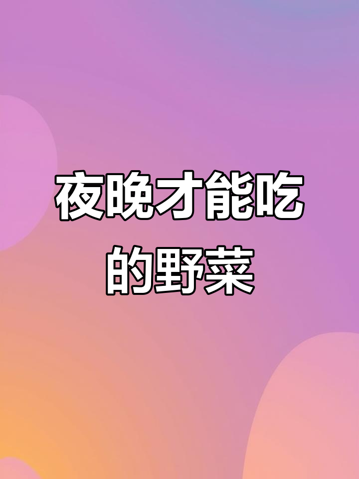 灰灰菜虽美味,但白天吃容易过敏,晚上食用更安全