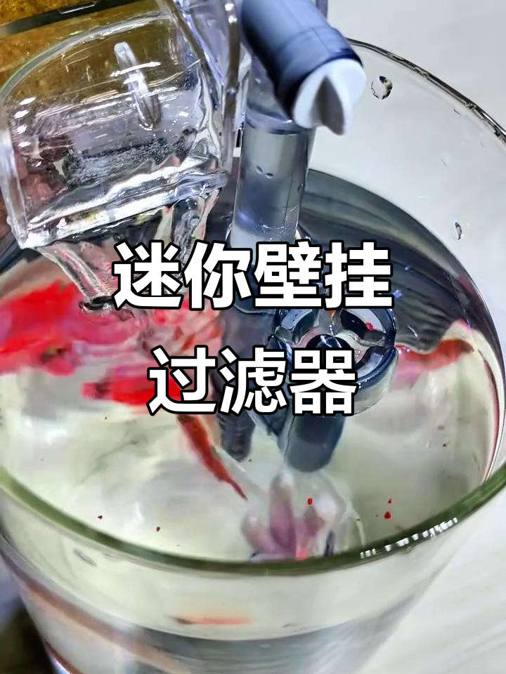 小鱼缸必备净化器,壁挂设计省空间又高效!