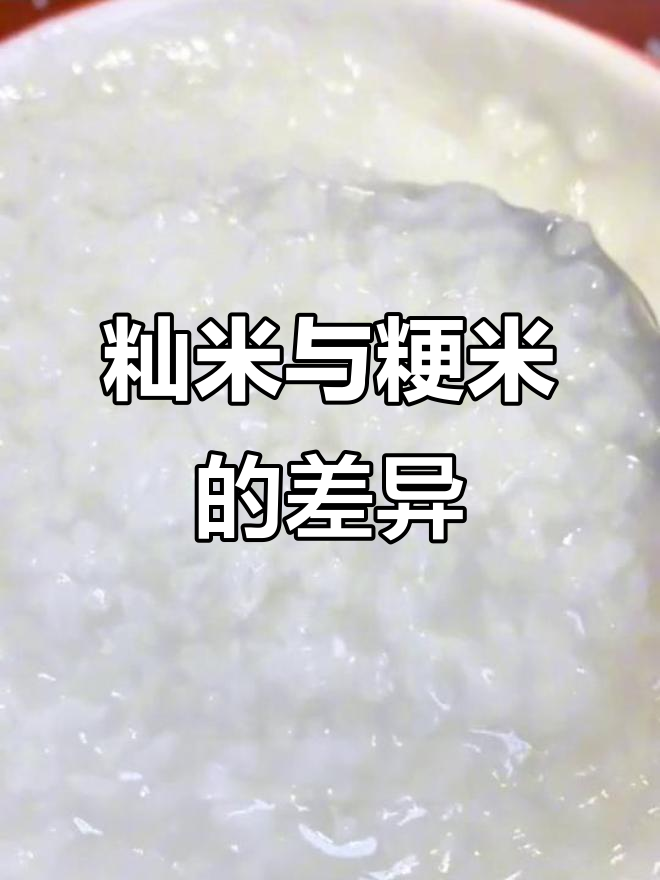 籼米和粳米的区别,煮粥炒饭选哪种?