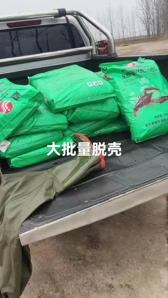 小龙虾养殖出大青是否会有问题?