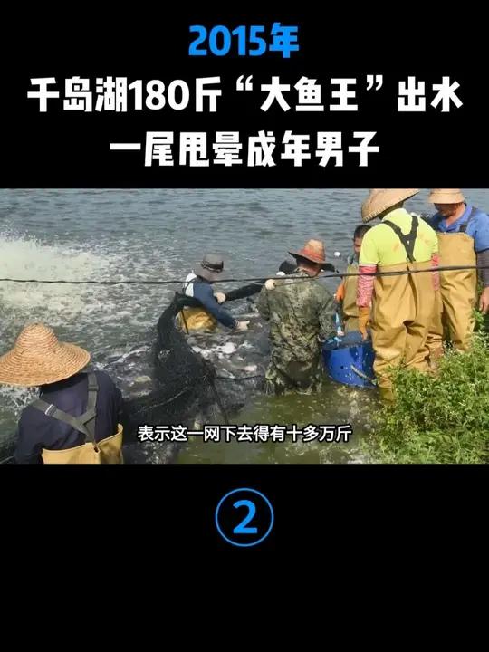 2015年,千岛湖180斤“大鱼王”出水,一尾甩晕成年男子#包头鱼 #鲢鳙