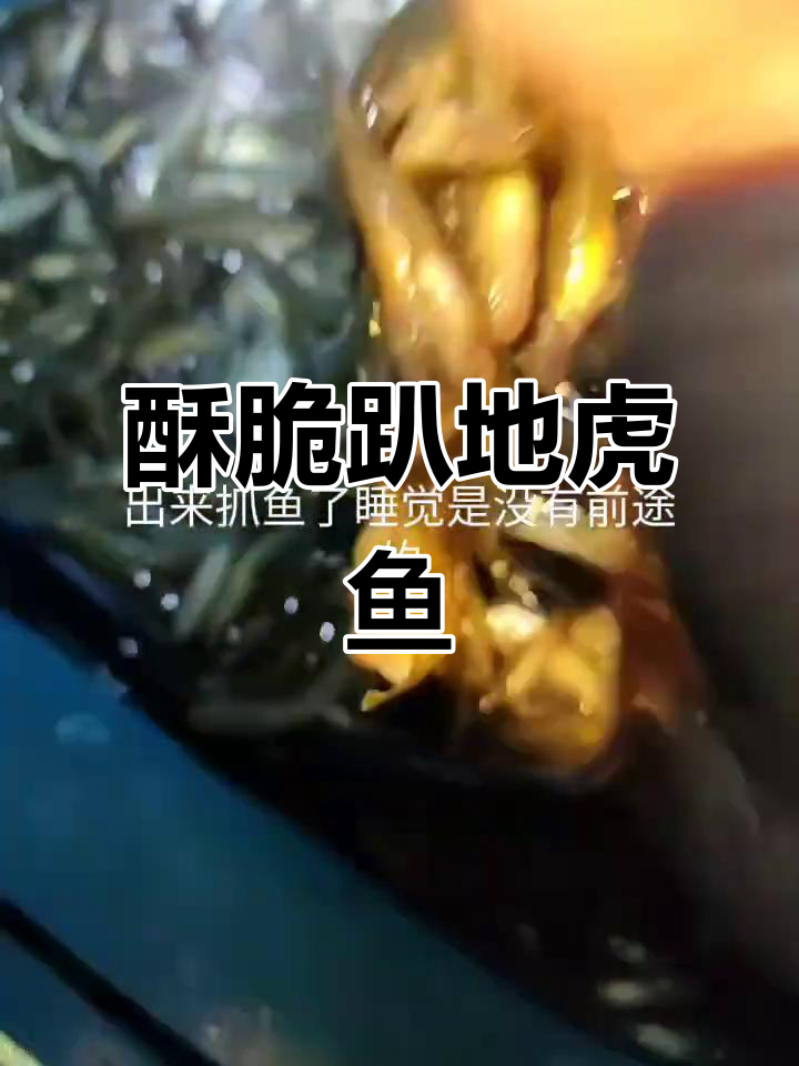 趴地虎鱼炸得脆嫩,35元一斤超值美味