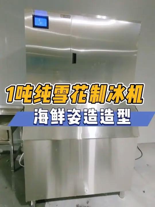 1吨纯雪花制冰机,海鲜姿造三文鱼刺身摆盘造型