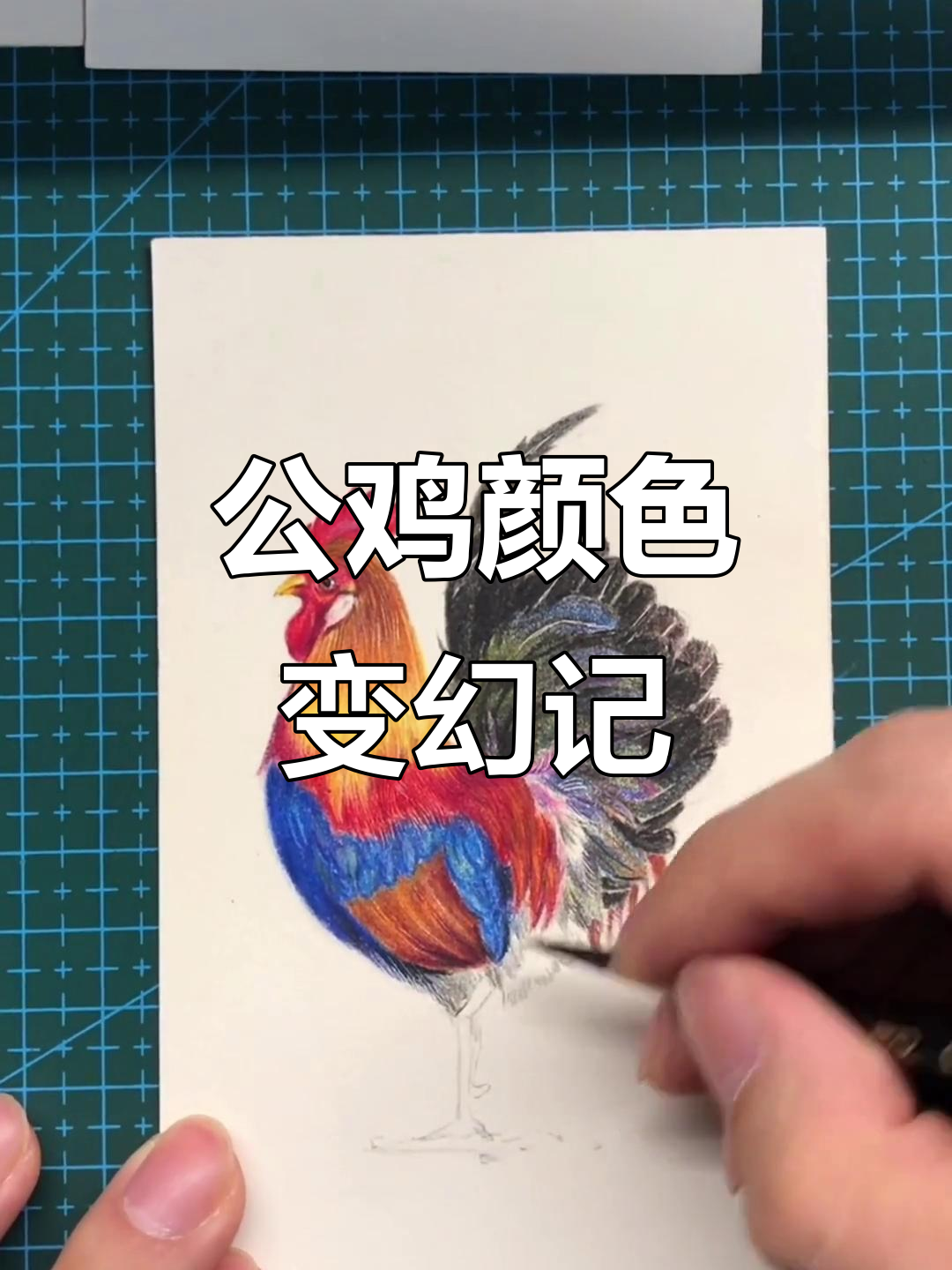 画公鸡大变身，色彩与形态的完美结合