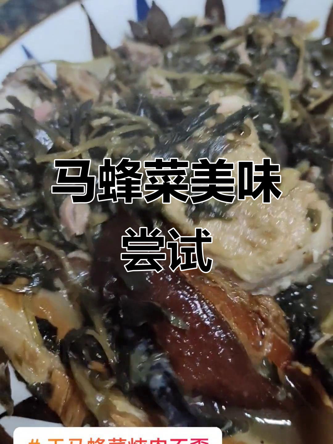 粉丝推荐干马蜂菜炖肉,一试成主,味道超赞!