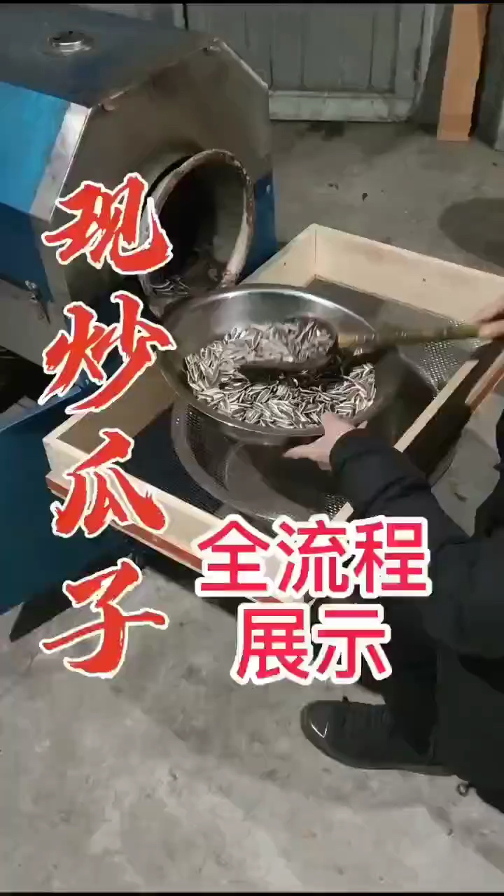 专业生产厂家炒瓜子机