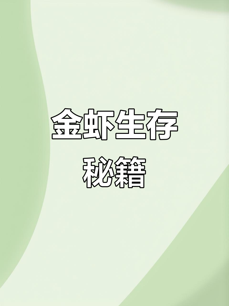 夏日金虾保鲜秘诀，装备齐全才能让它们活得更久！