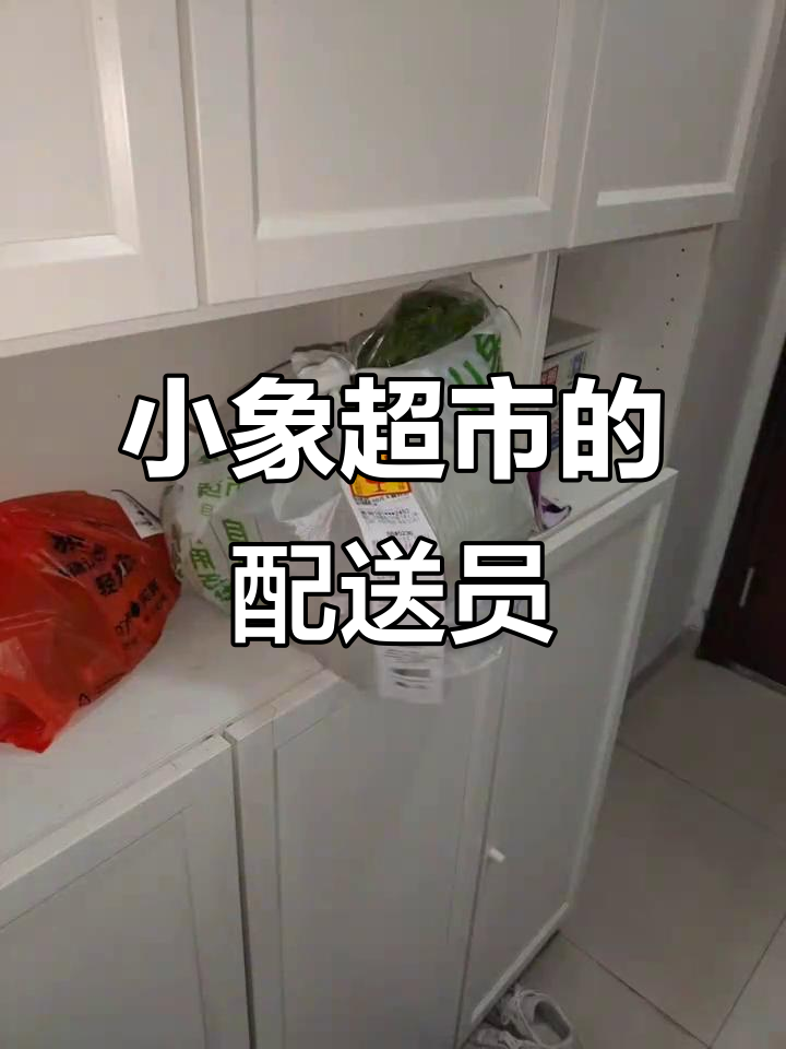 配送员的一天:从小象超市到牛马生活的转变