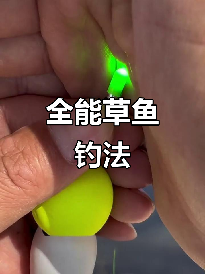 草鱼钓法全覆盖,手海竿通用,夜光线组助你轻松上钩