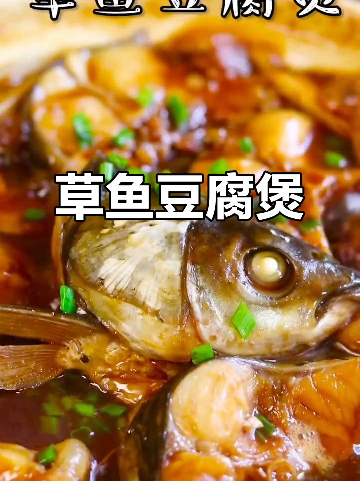 草鱼豆腐煲,家常美味轻松做