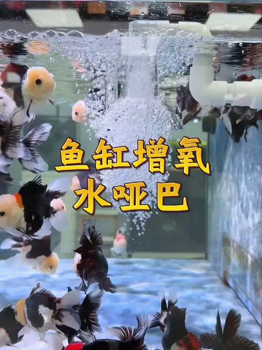 鱼缸出水增氧器加氧增鸭嘴氧改装过滤桶出水配件水哑巴静音出水口S