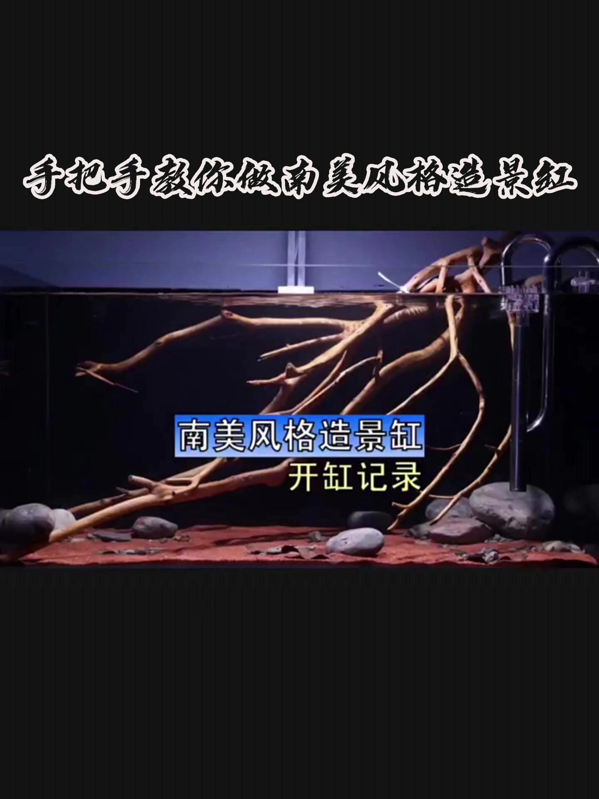 手把手教你做南美风格造景缸