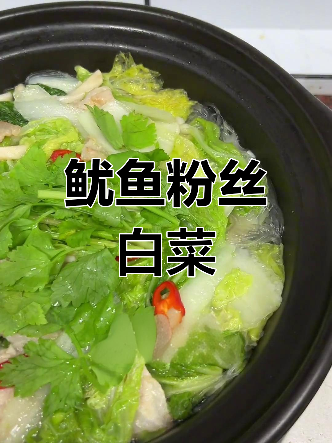 鱿鱼粉丝白菜煲,鲜美汤汁完美吸收