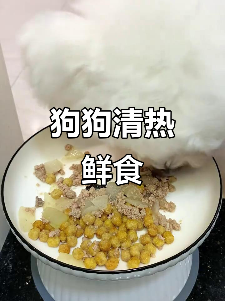 狗狗上火尿黄?试试这道冬瓜白萝卜猪肉餐,清火又营养
