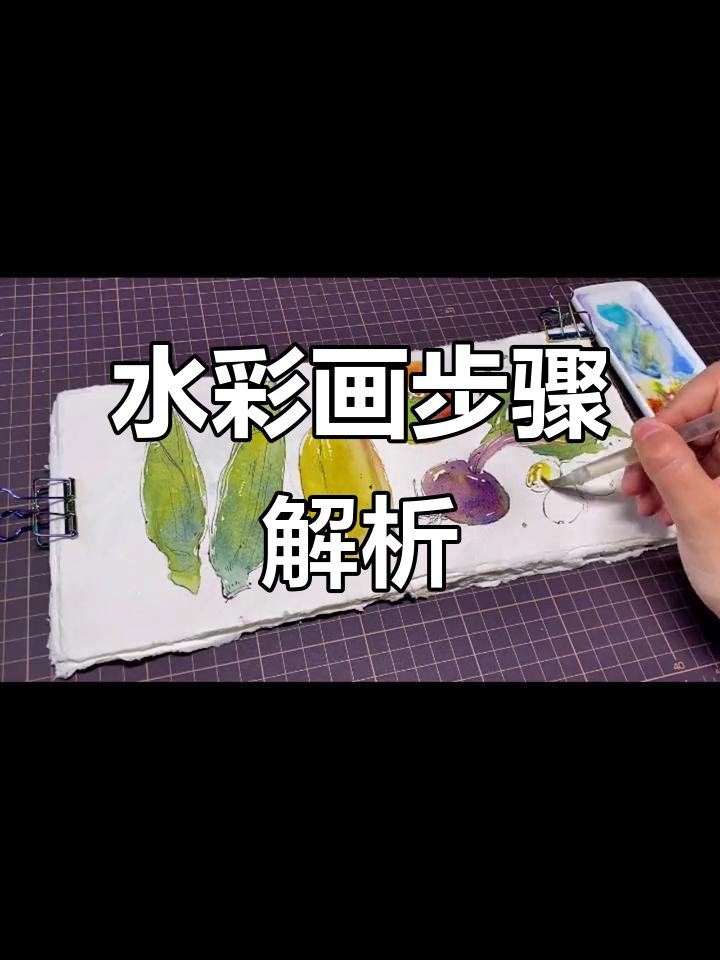 钢笔淡彩蔬菜上色技巧,轻松画出层次感