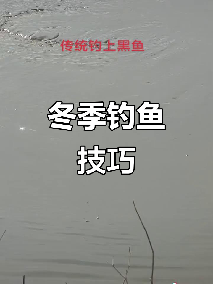 秋冬钓鱼爆护秘籍,解锁大鲶鱼与黑鱼的钓法