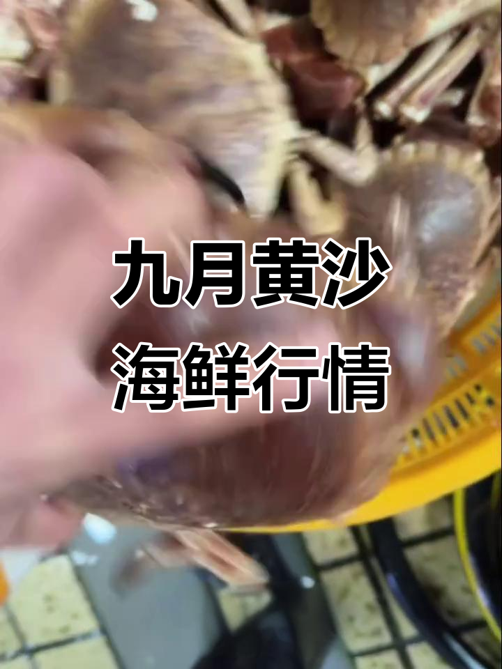 黄沙海鲜市场大揭秘:斑鱼、龙虾、鲍鱼等一网打尽