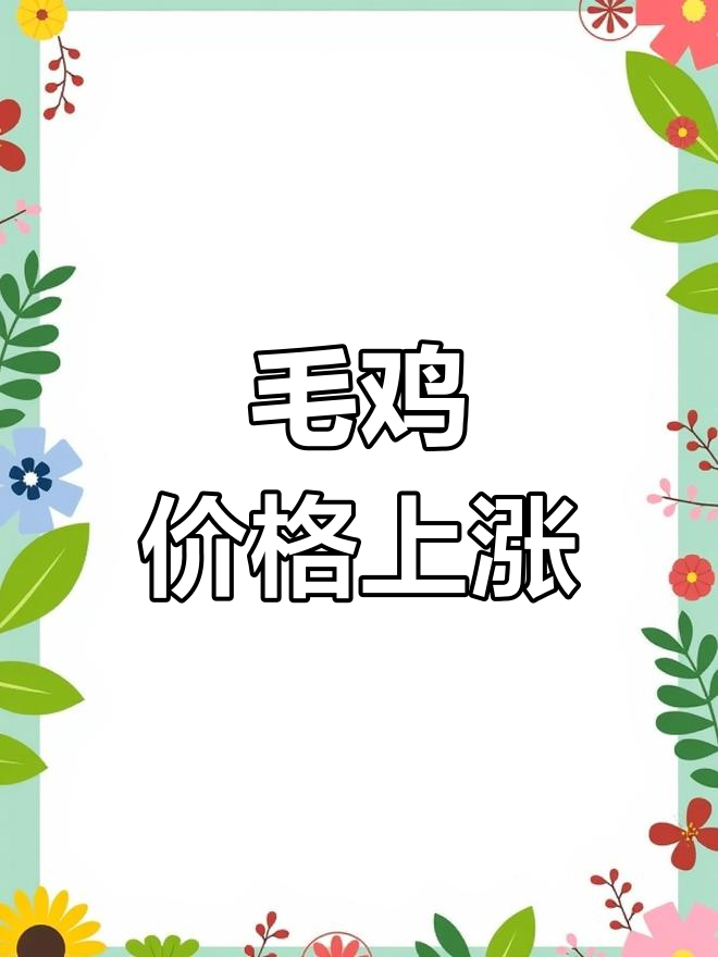 2025年3月25日毛鸡行情上涨,市场报价更新