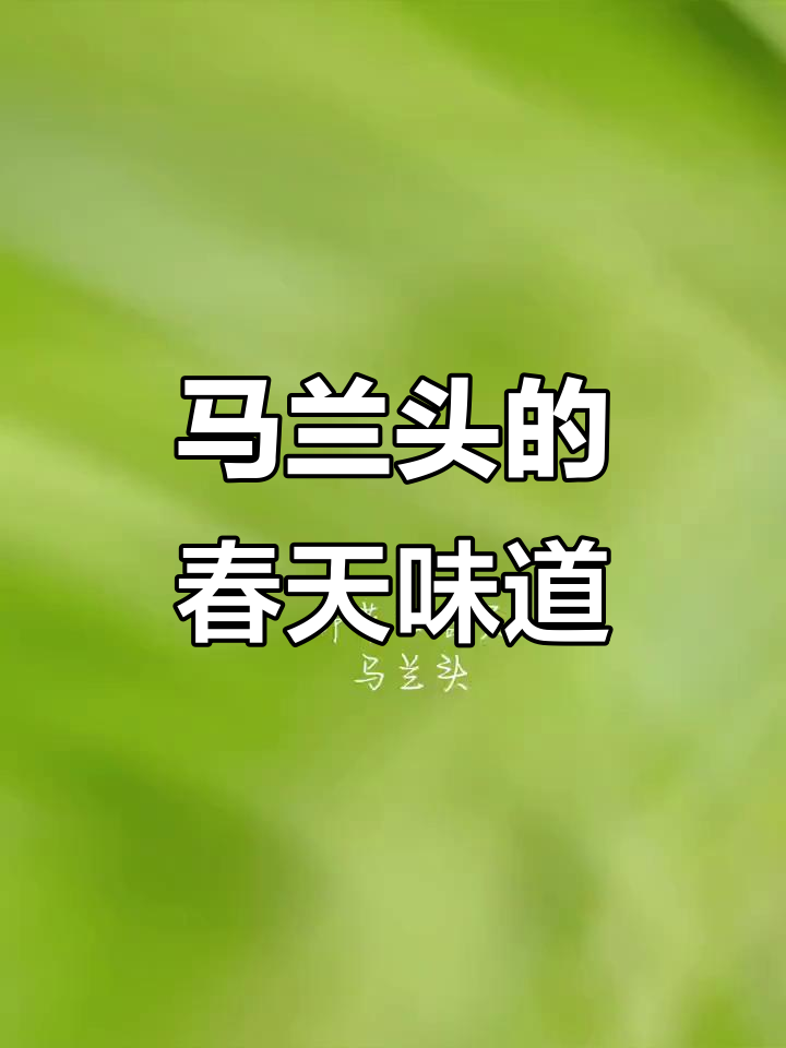 春天的野菜美味,马兰头带你尝鲜