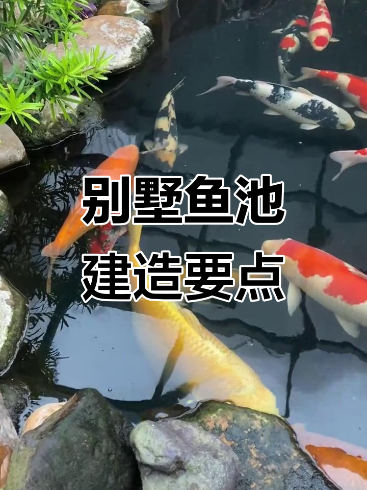 别墅鱼池建造避坑指南,避免重做!