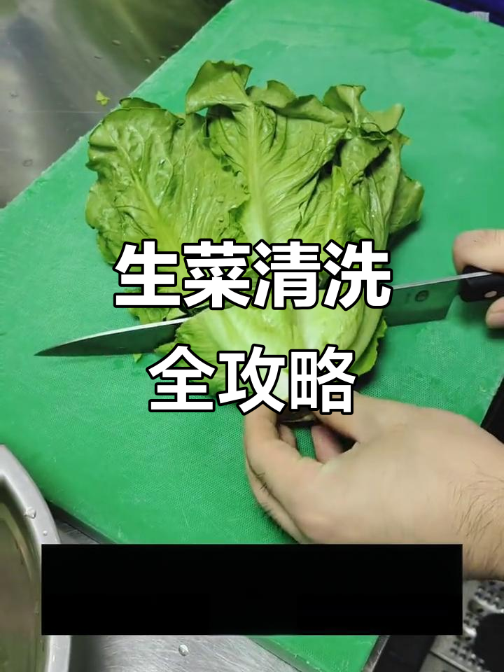 烤肉必备:生菜清洗技巧大揭秘,吃得更放心
