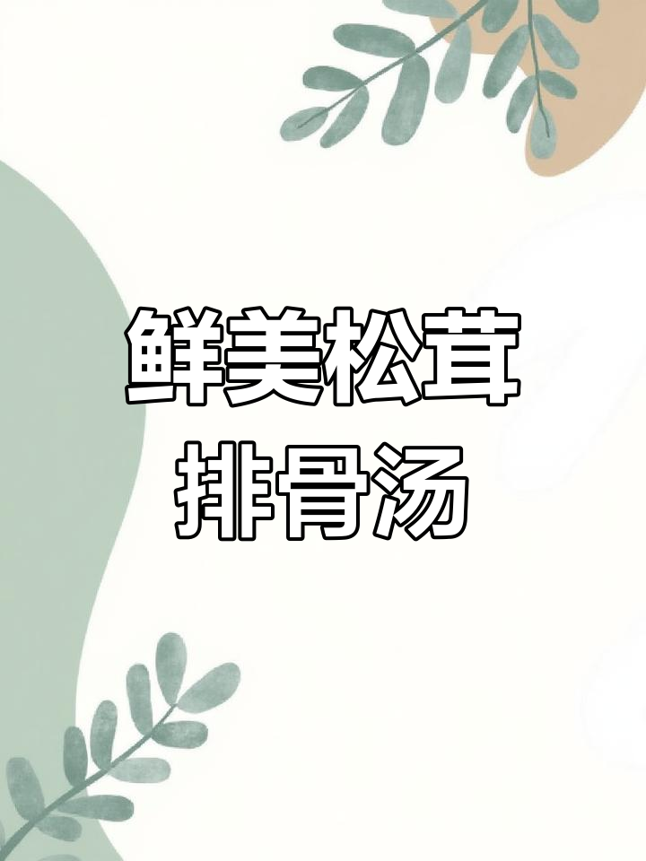 松茸排骨汤的完美做法