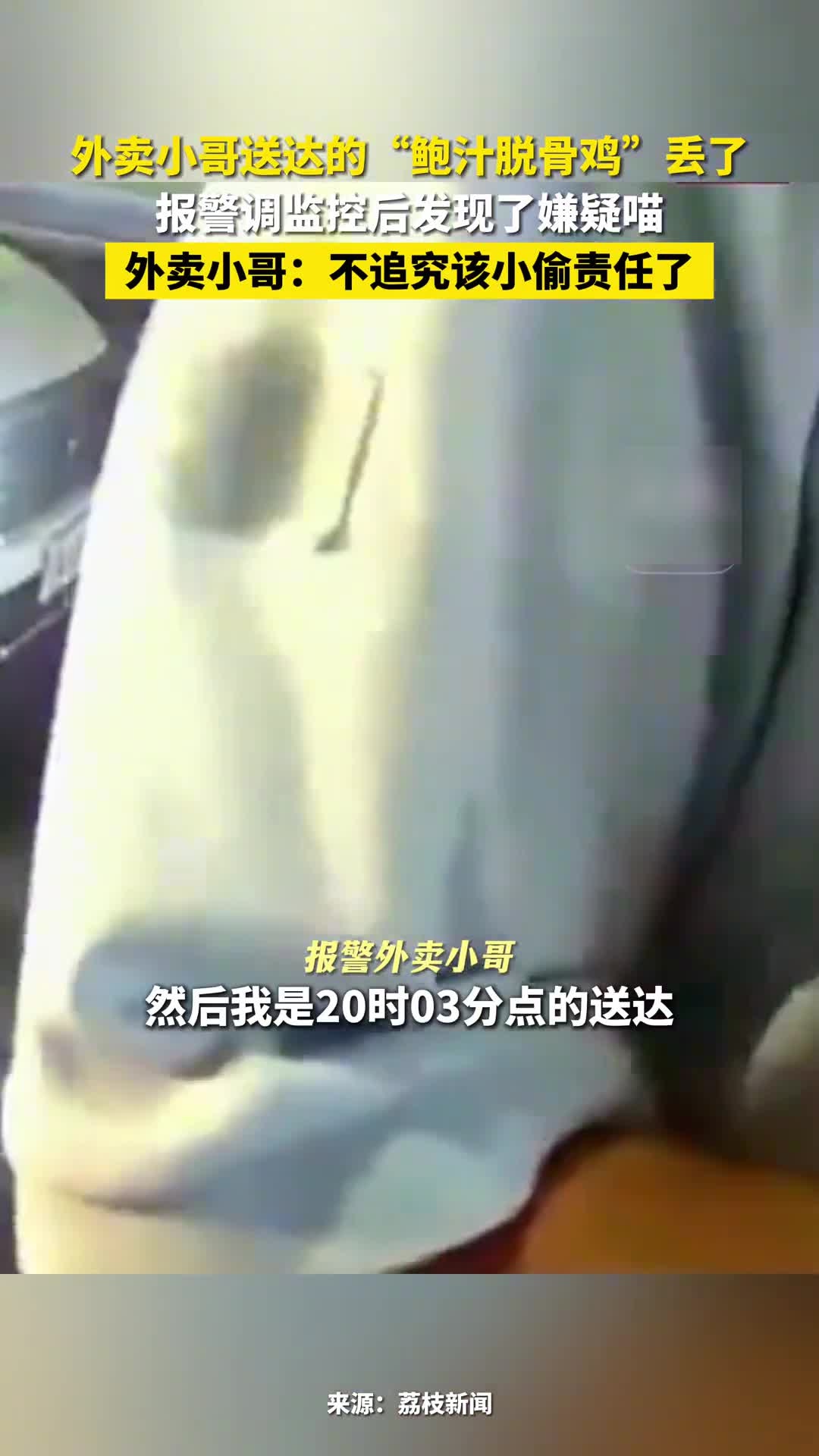 外卖小哥送达的“鲍汁脱骨鸡”丢了,报警调监控后发现了嫌疑喵,外卖小哥:不追究该小偷责任了