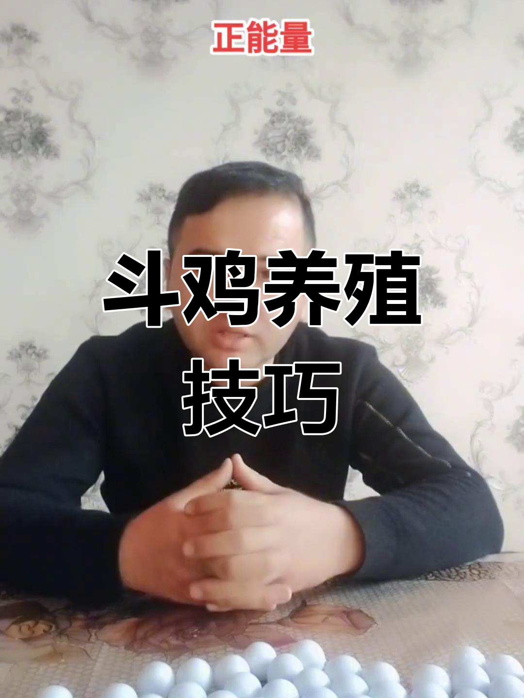 斗鸡养殖技术大揭秘,豌豆如何助力成长