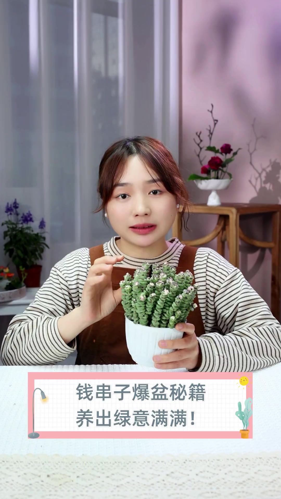 钱串子爆盆秘籍,养出绿意满满!