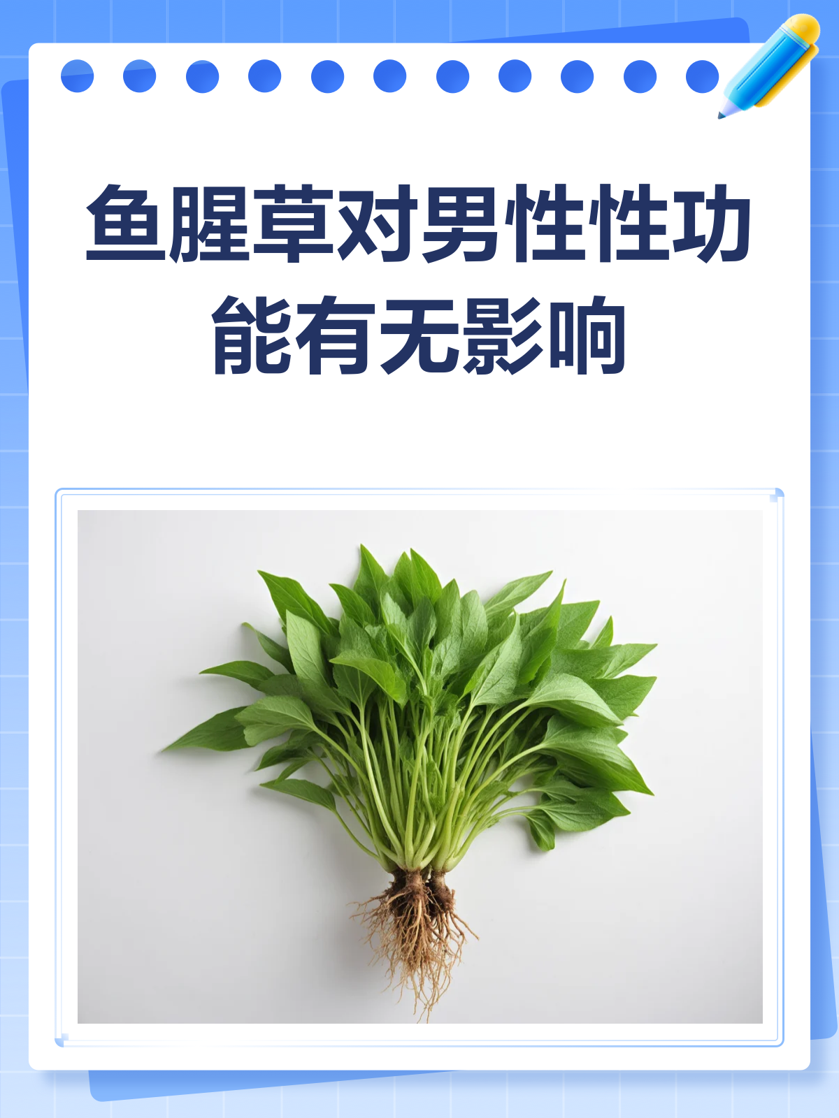 鱼腥草和男性性功能,那些你不得不知的事儿!
