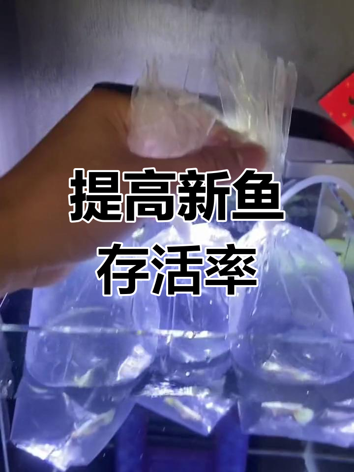 新鱼入缸正确过水方法