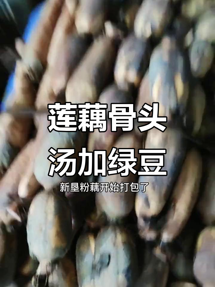 新垦莲藕骨头汤,搭配绿豆和章鱼干,口感超赞!