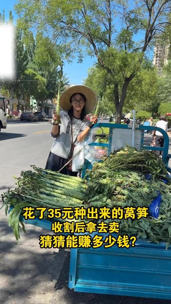 原本以为紫色莴笋很好卖，卖着卖着就没那么自信了