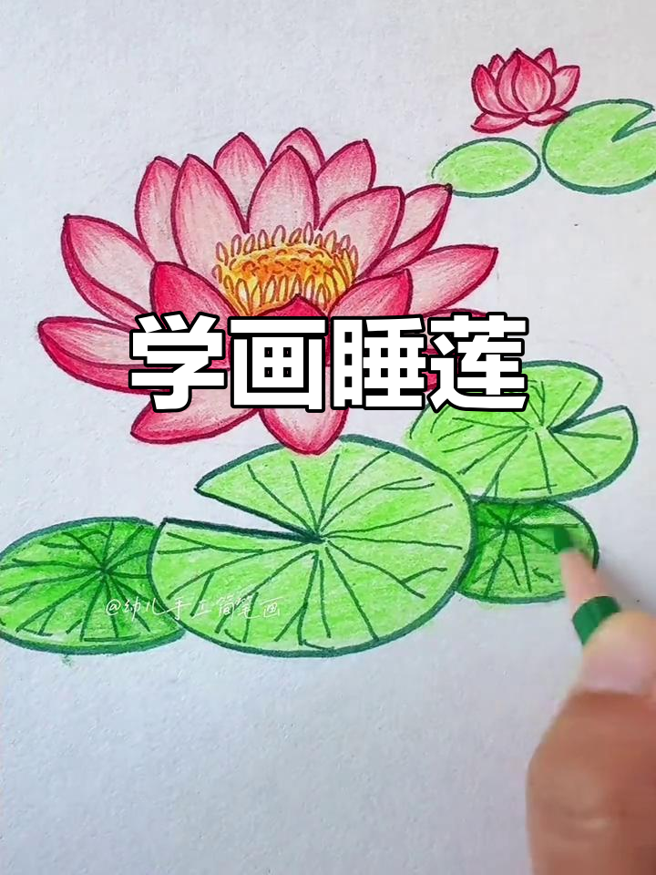 睡莲彩铅画教程,轻松学会