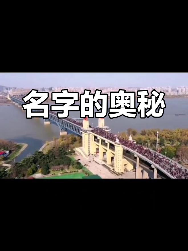 头像背后的秘密,名字居然也有深意!