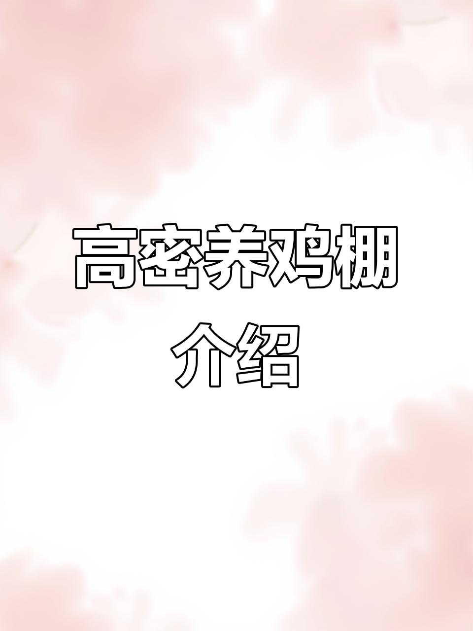 养殖大棚全攻略:高密度肉鸡养殖技术大揭秘