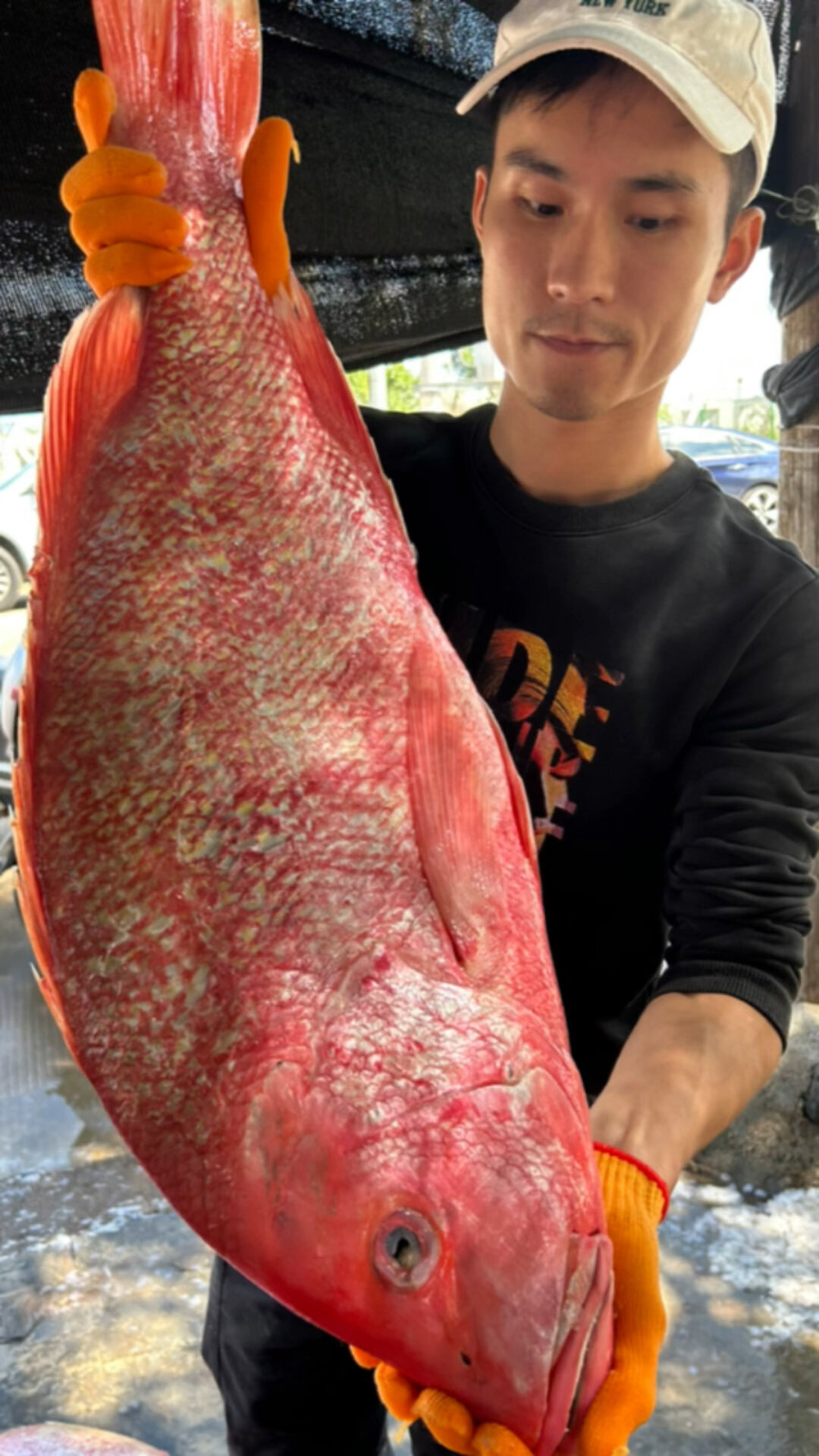海南特产儋州红鱼