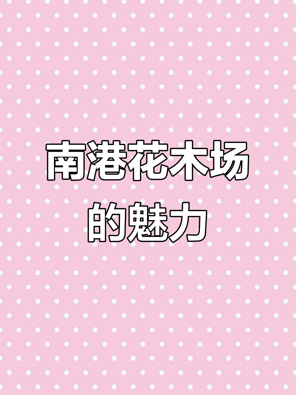 柳叶星河:南港花木场的美景与期待