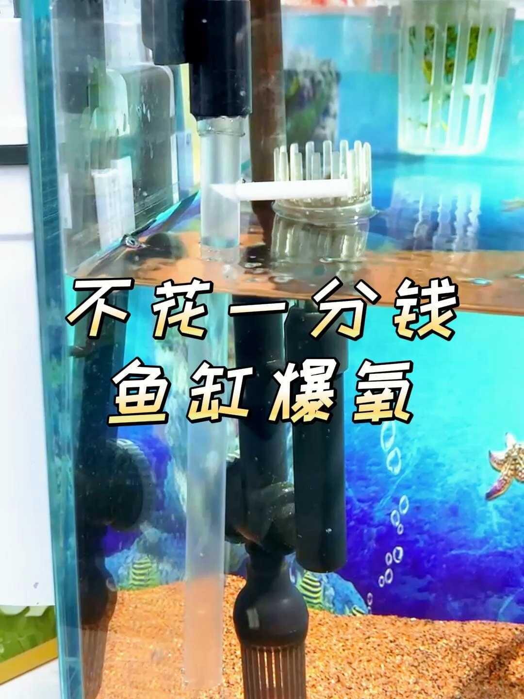 文氏管—不花钱的增氧小技巧
