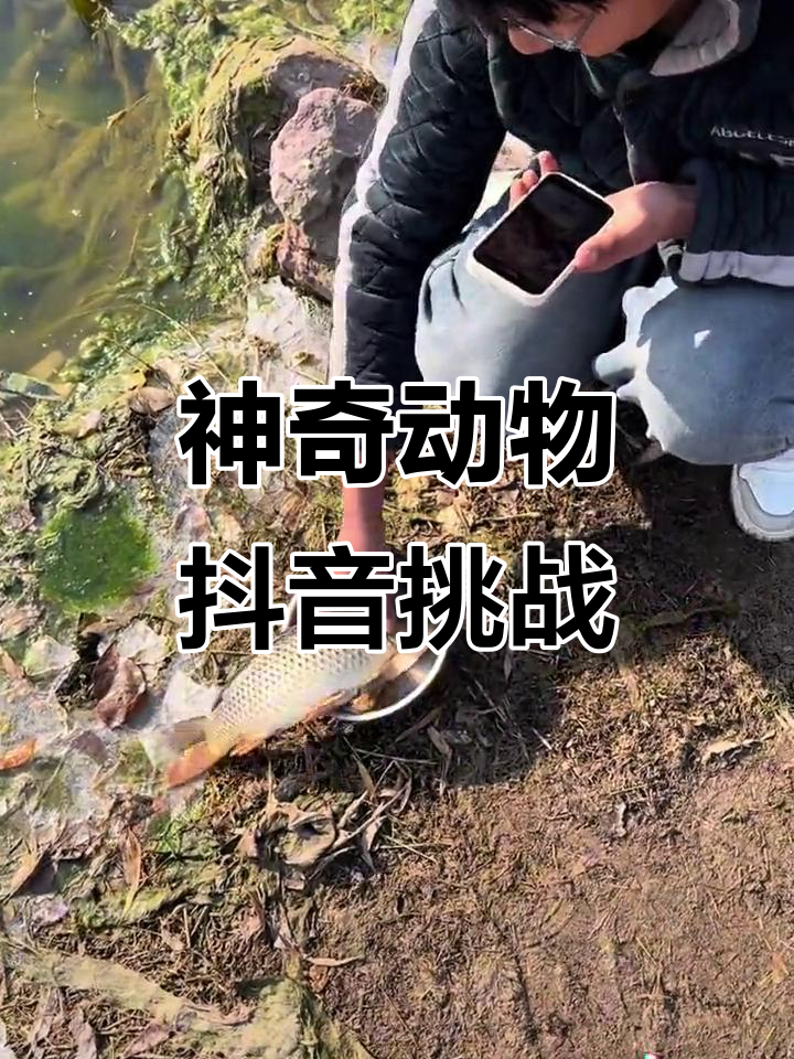 小伙抓大鱼,竟然先敲晕它!