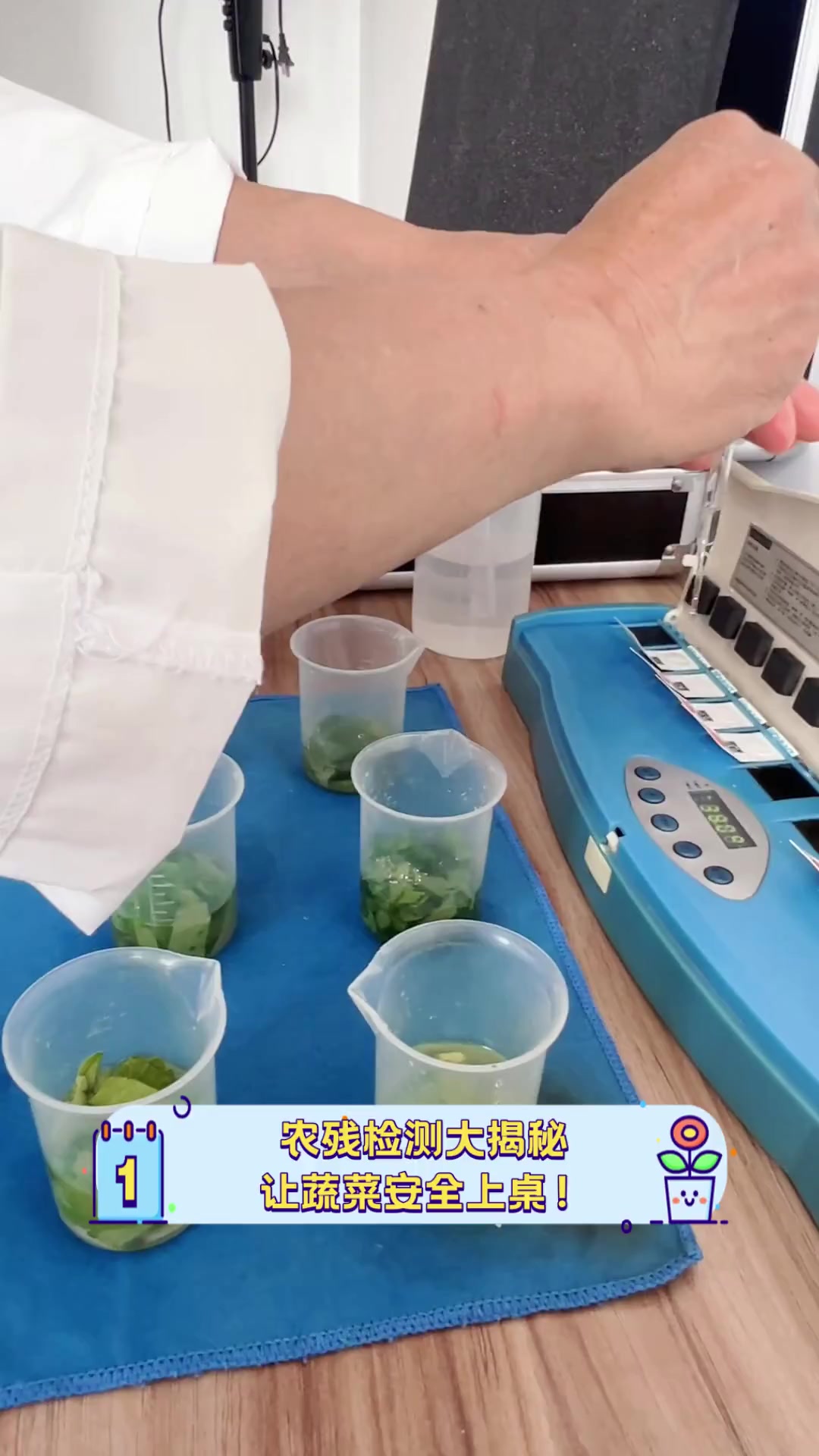 农残检测大揭秘,让蔬菜安全上桌!