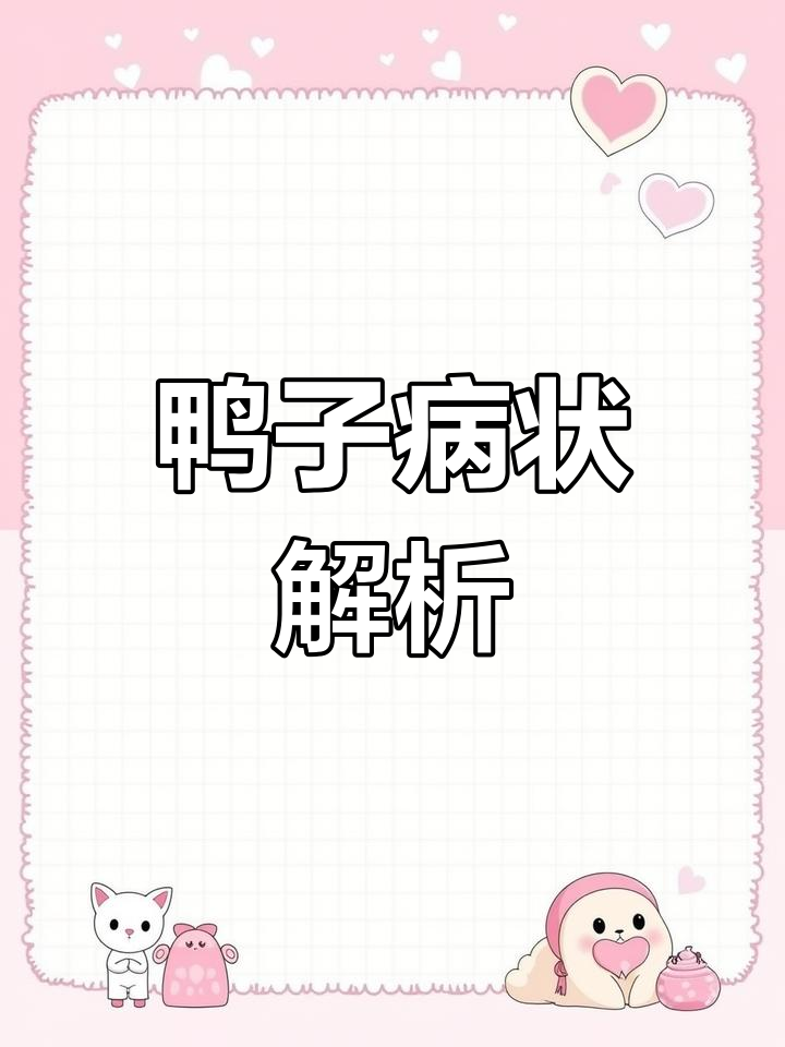 小鸭子缩头、无力,可能是生病了!