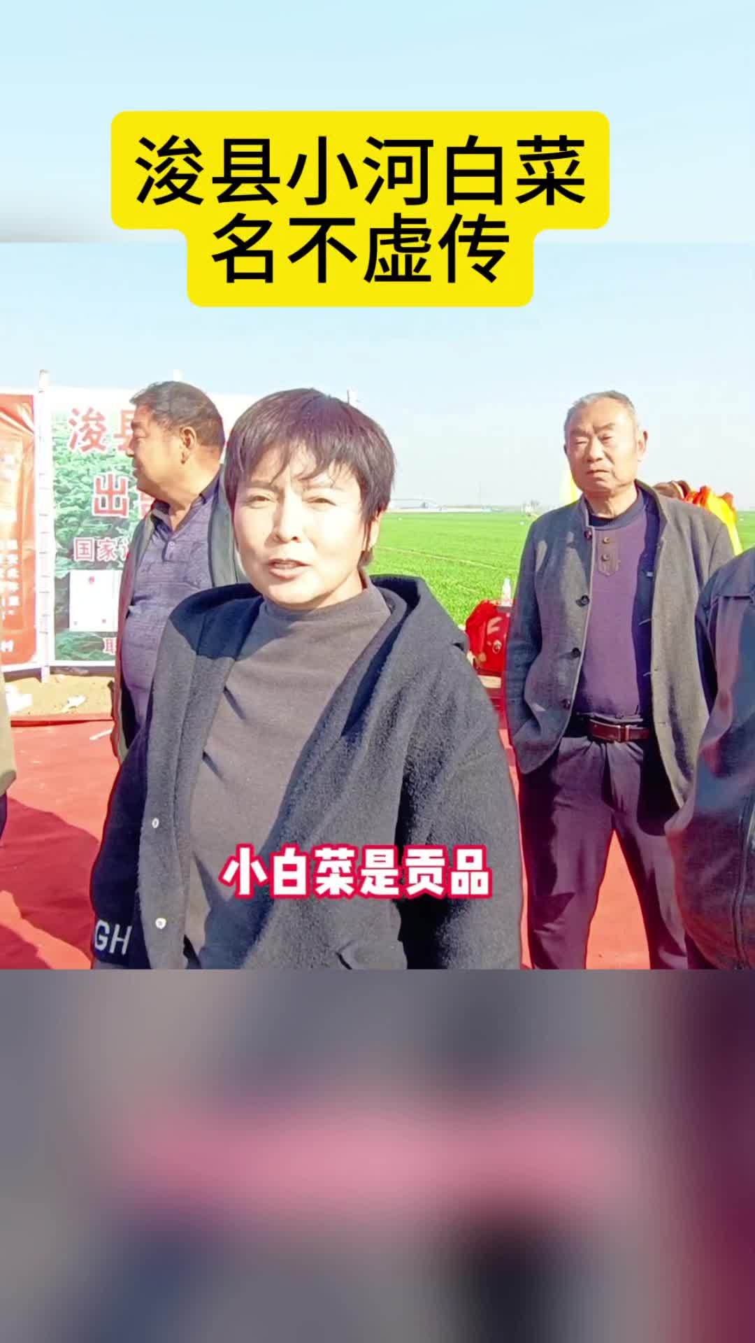 见证浚县小河白菜名不虚传 传递祝福 乡村振兴 炳良自强