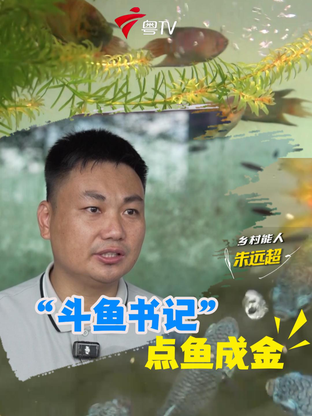 广东阳江这个村靠斗鱼赚了8300万!