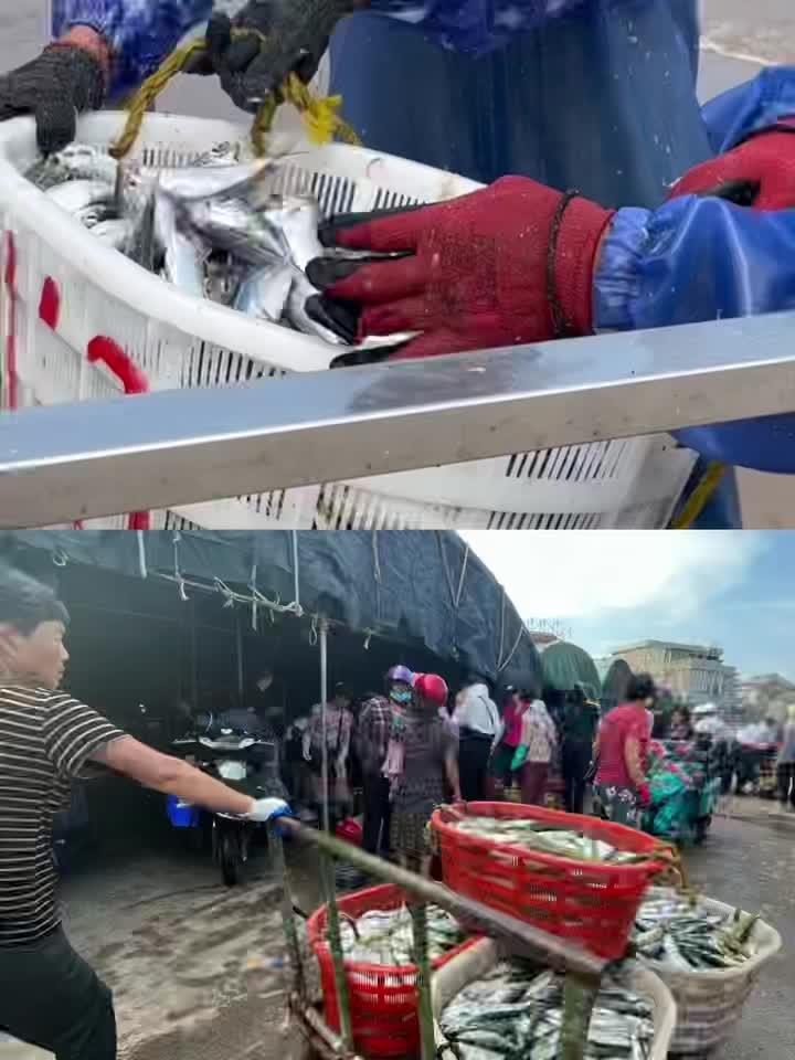 渔民生活实拍 驻村小静 野生海鲜 出海捕鱼 现场实拍 正是好季节,鳀鱼干买起来……欢迎私信
