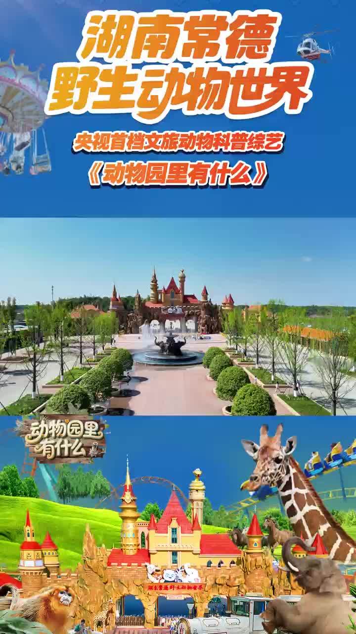 「动物园里有什么?」萌到犯规的小熊猫、带薪摸鱼狐獴、自由脖击长颈鹿……动物界人设比选秀还精