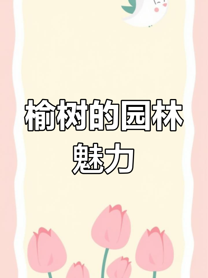 榆树盆景设计理念:美化生活,寓意深刻