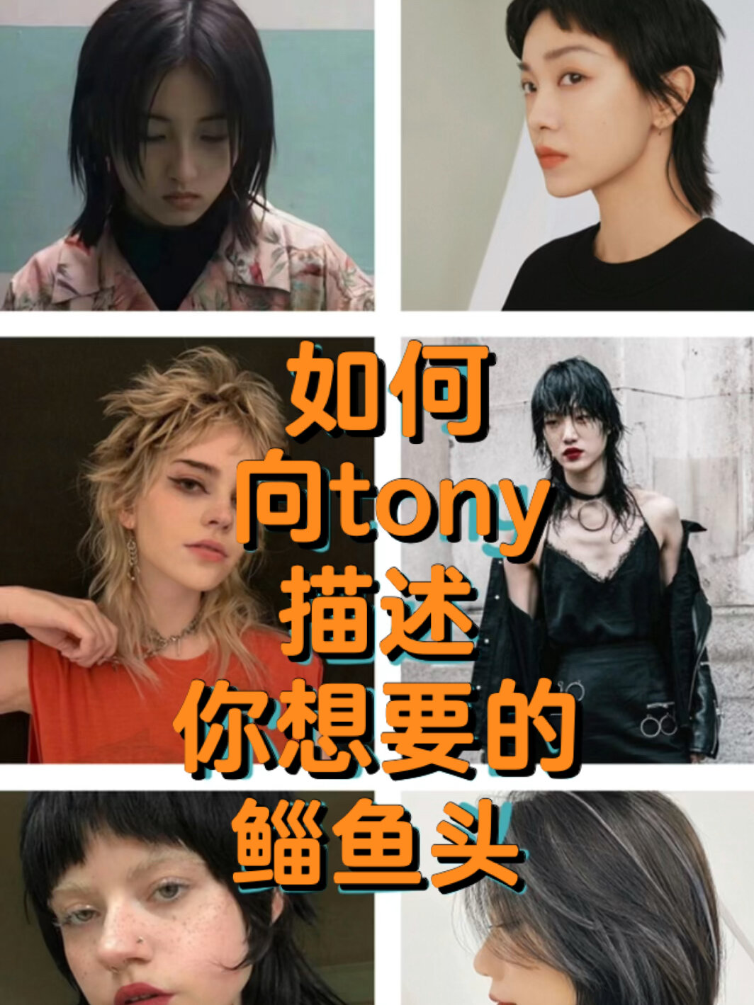 如何向tony描述你想要的鲻鱼头