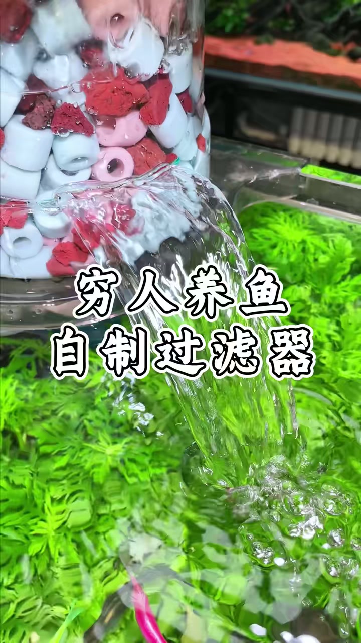 喝完忘扔的矿泉水瓶改过滤器，效果比大几百的还好