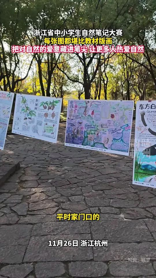 第九届浙江省中小学生自然笔记大赛落幕，每张图都堪比教材版画，把对自然的爱意藏进笔尖，让更多